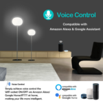 WiFi Smart Plug – Works with Alexa & Google